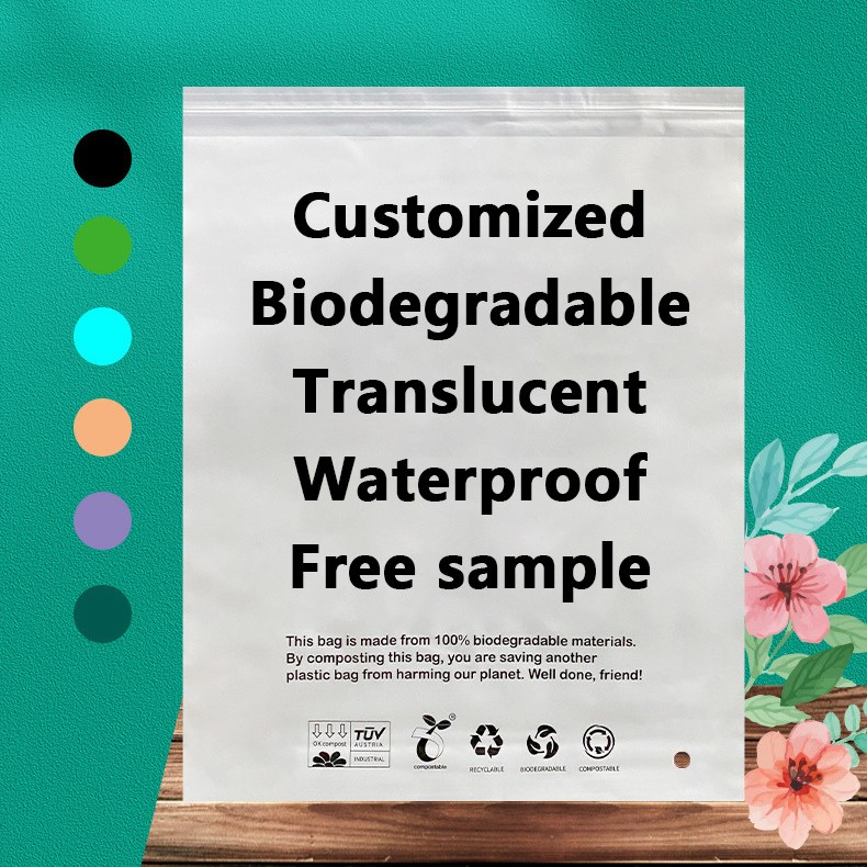 Zeal X uvádí na trh vysoce výkonné biologicky odbouratelné sáčky PLA PBAT pro řešení udržitelného balení po celém světě